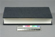 Bradel Case